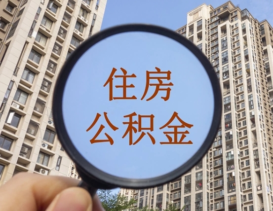 鄂尔多斯退休后查不到公积金明细了吗（退休后公积金查询不到原因）